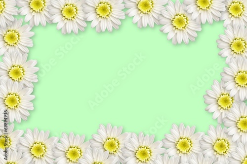 Textfeld mit Rahmen aus Gänseblümchen © alisseja