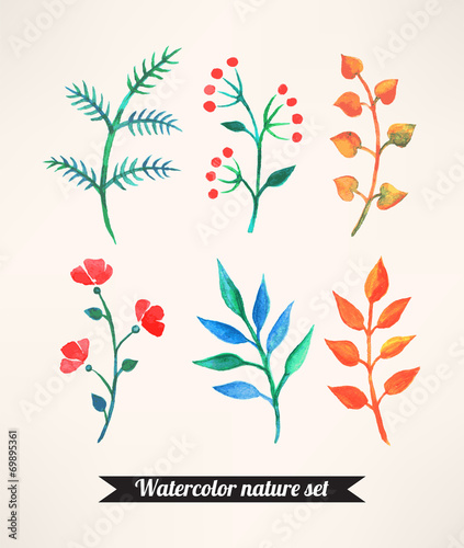 Fototapeta Naklejka Na Ścianę i Meble -  Set of watercolor plants