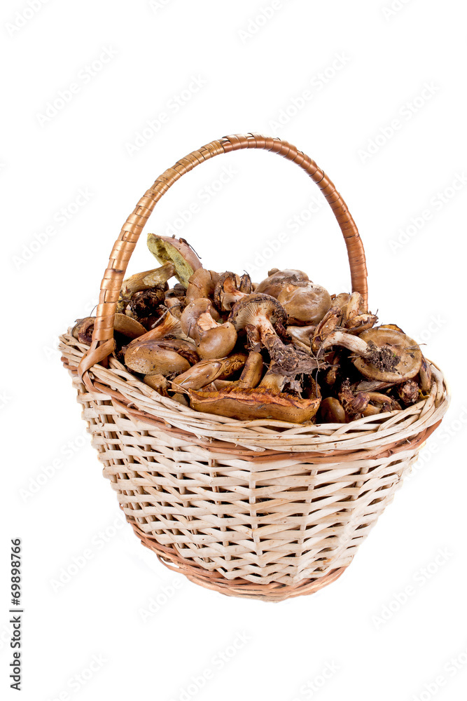 Basket with mushrooms Basket with mushrooms