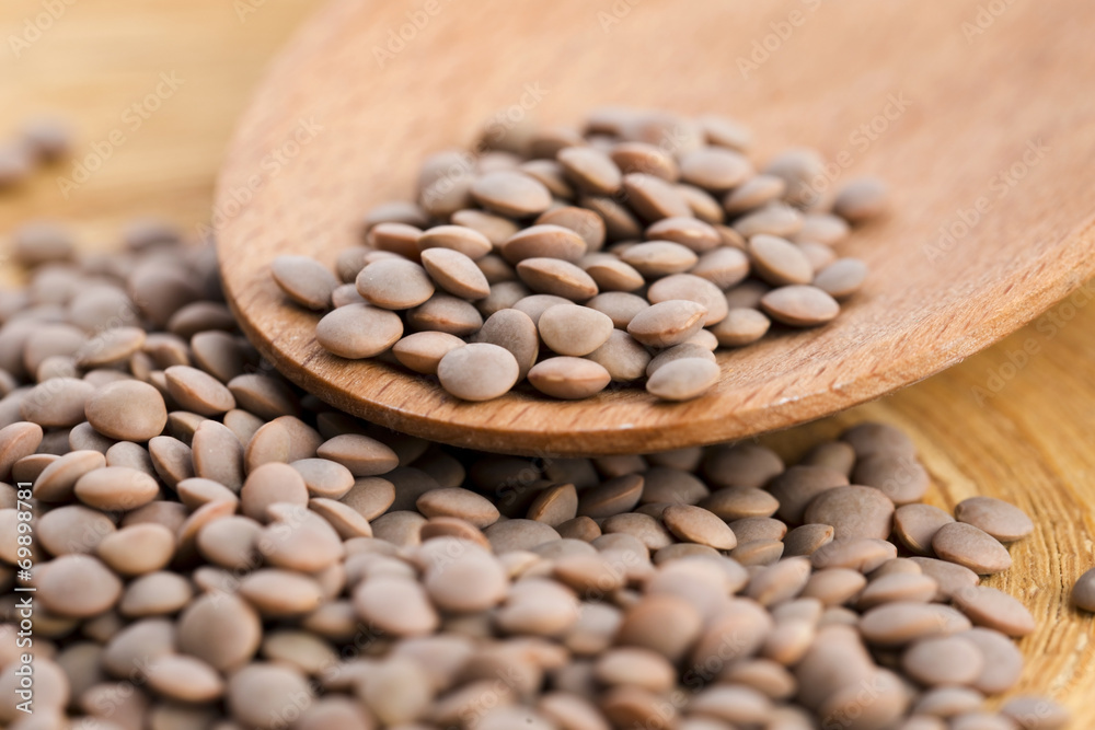 Dry Organic Brown Lentils Dry Organic Brown Lentils