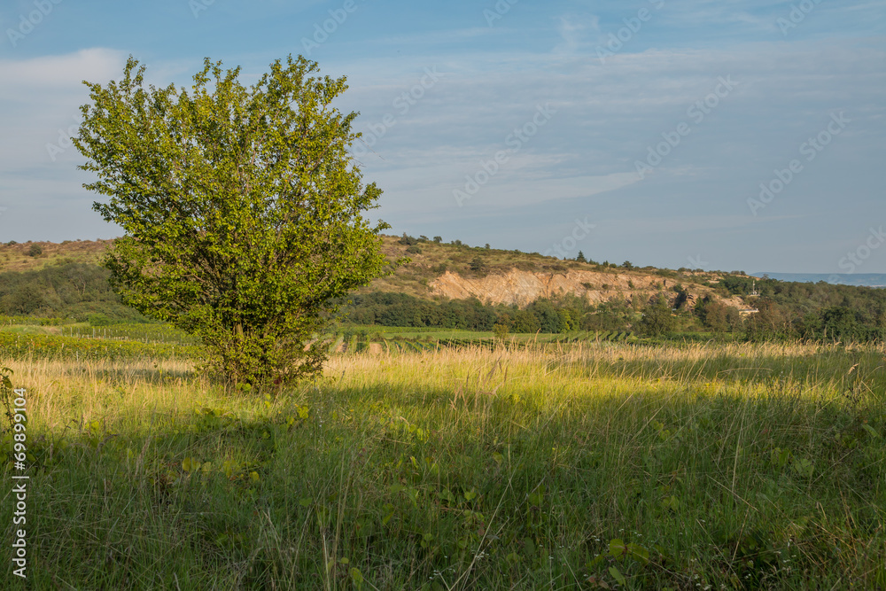 Obraz premium Obernalber Landschaft
