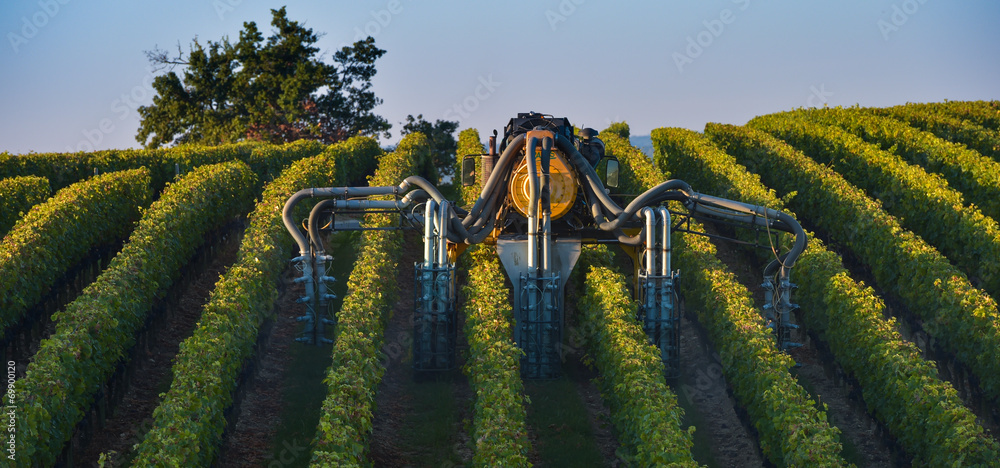 Fototapeta premium Vineyard landscape-Spraying of grapevines-Vineyard south west of