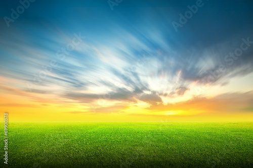 Field of green grass and sky