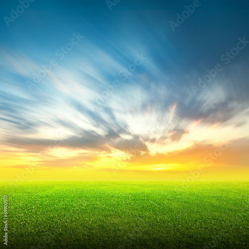 Field of green grass and sky