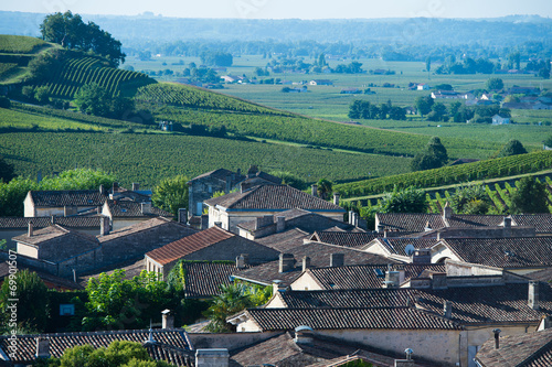 Fotografie Saint-Emilion-Vineyard landscape-Vineyard south west of France,
