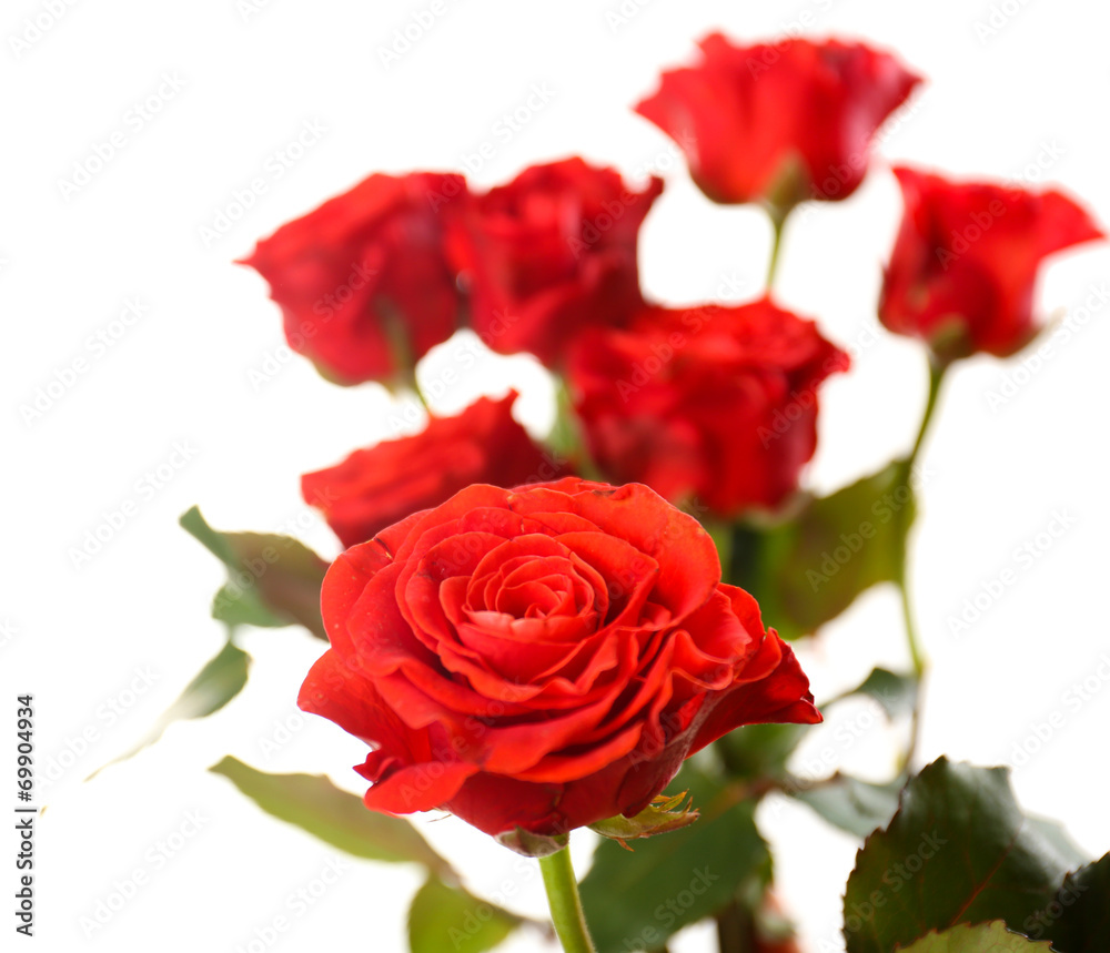 Bouquet of beautiful roses isolated on white