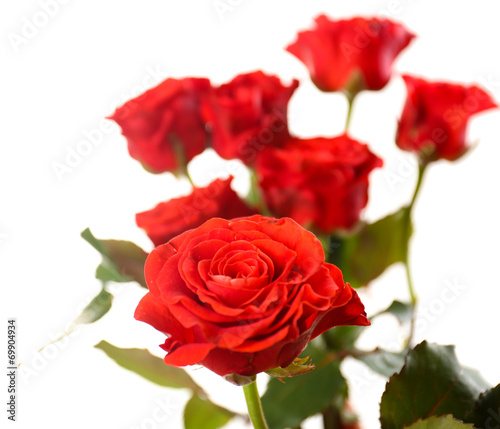 Bouquet of beautiful roses isolated on white © Africa Studio