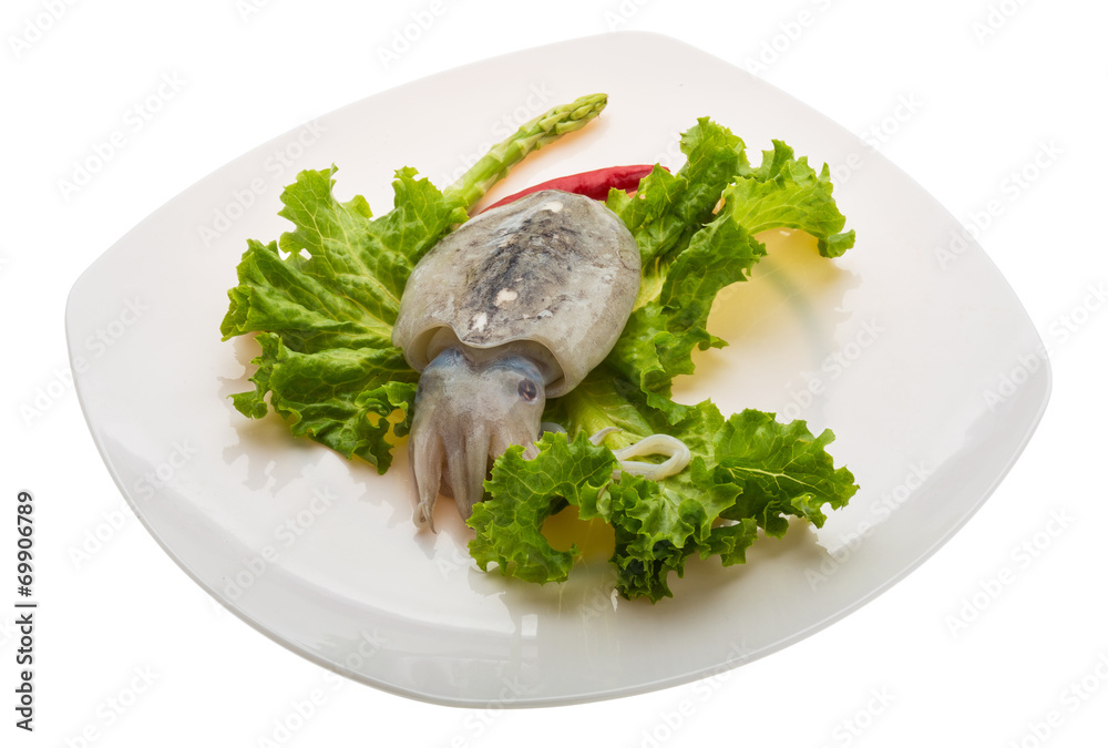 Raw cuttlefish Raw cuttlefish