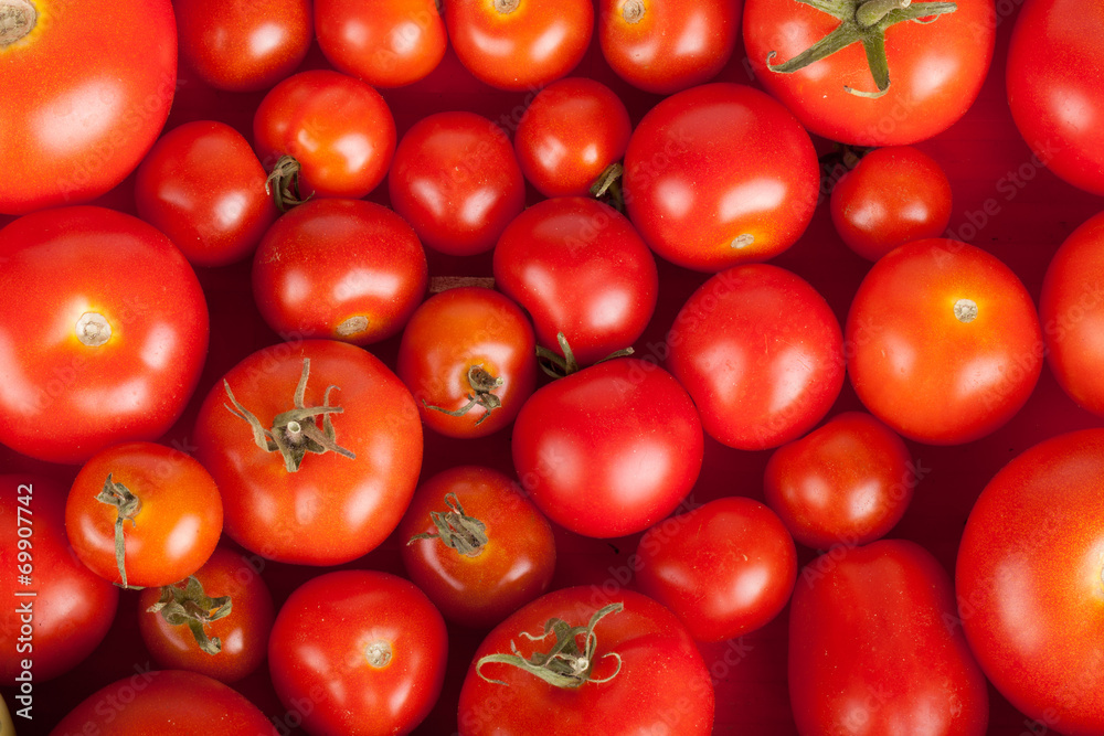 freshly picked tomatoes in a box