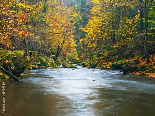 Fototapeta Naklejka Na Ścianę i Meble -   Autumn mountain river banks ful of colors.