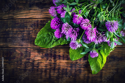 Bouquet of blooming clover on the wooden background.