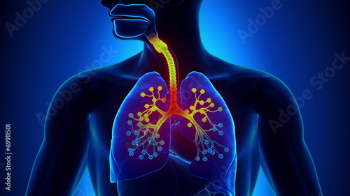 Bronchiolitis - Inflammation of the Bronchioles