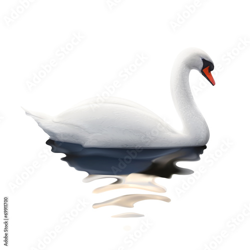 Fototapeta Naklejka Na Ścianę i Meble -  Swan, vector illustration