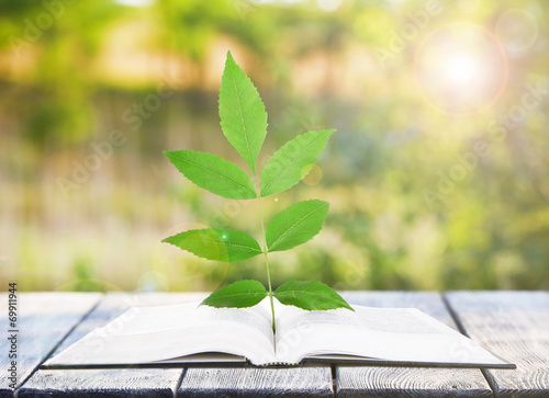 Open book with plant on table outdoors