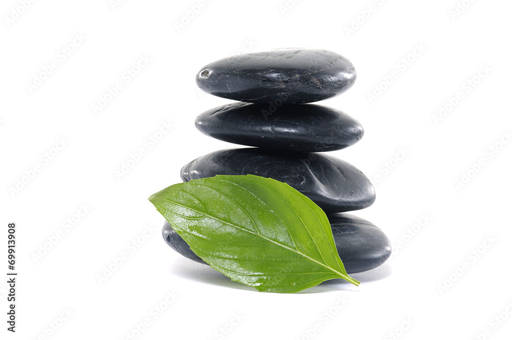 black pebbles and green leaves- spa background black pebbles and green leaves- spa background