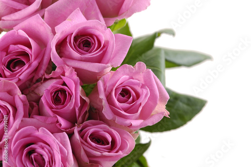 Beautiful pink roses border © Mee Ting