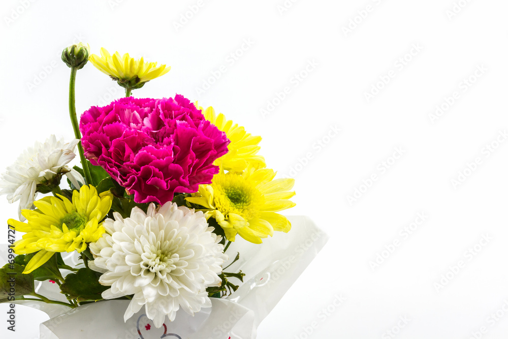 Carnation and chrysanthemum flower in vase.