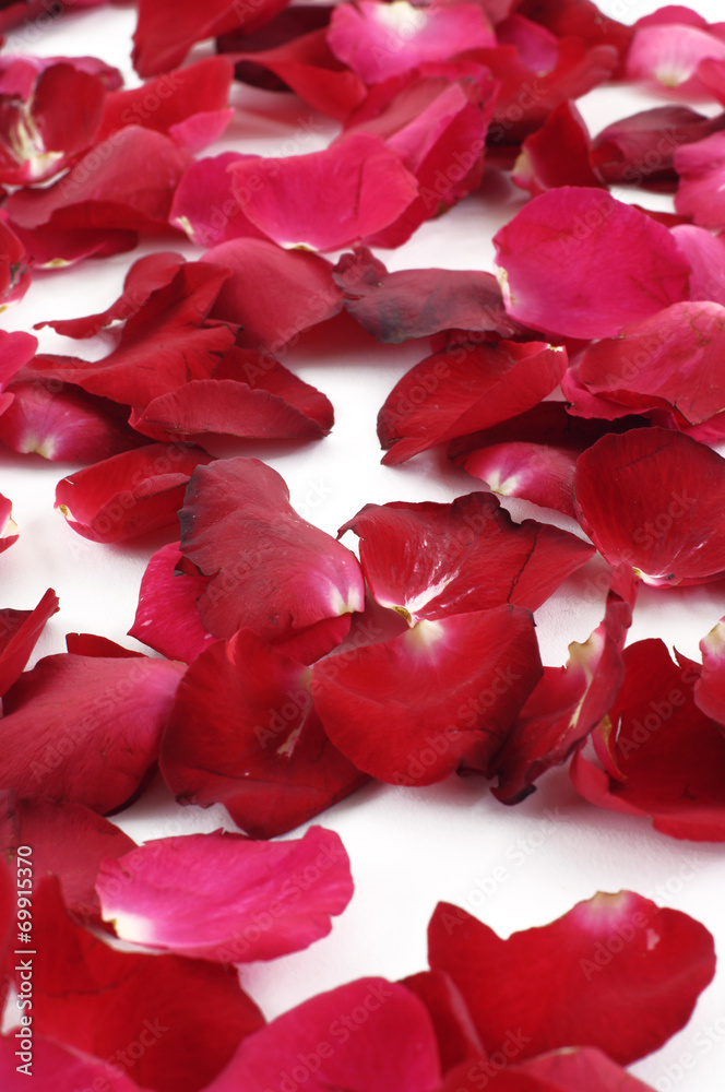 Red petals