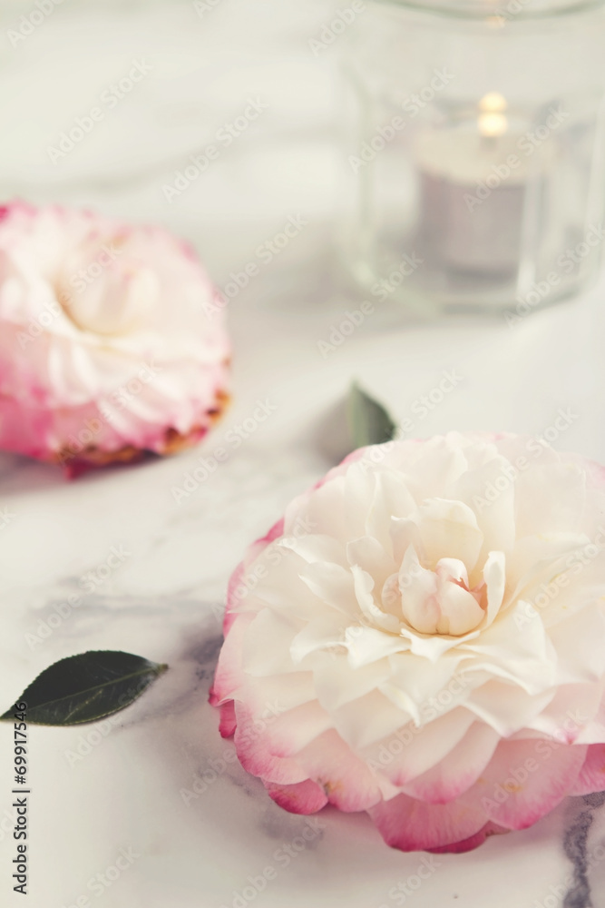 Camellia flower background with candle