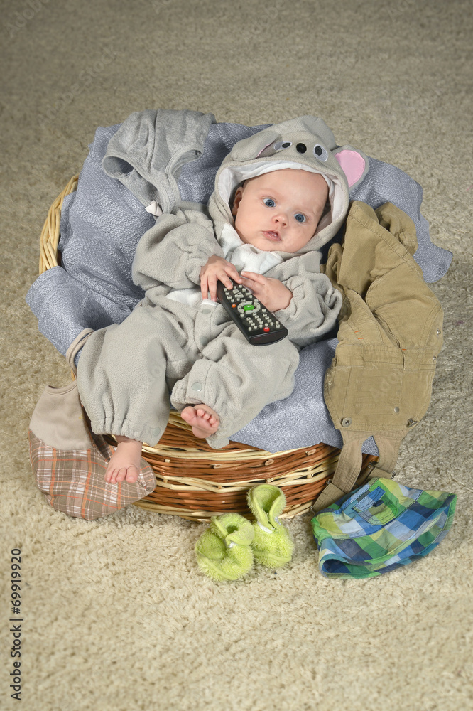 Naklejka premium baby in the basket