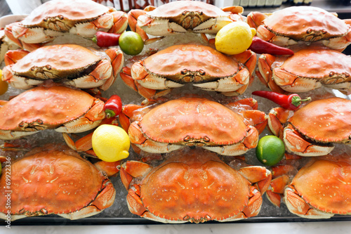 Canvas Print Dungeness crab