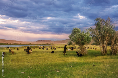 A herd of sheep and goats grazing near the lake at the foot of t