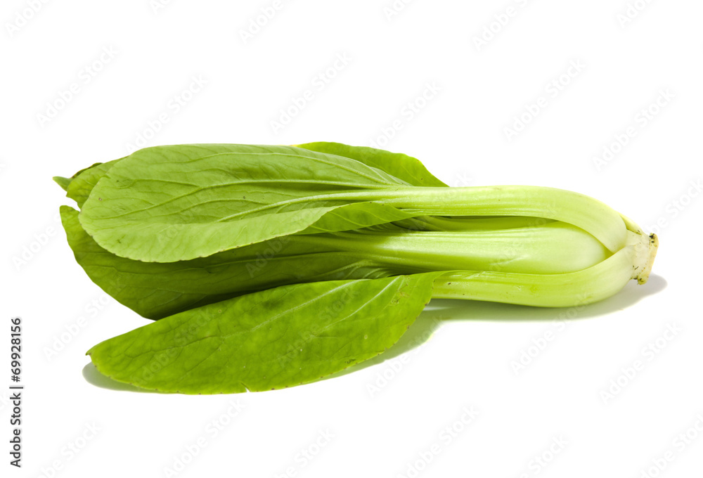 Chinese cabbage isolated on white background Chinese cabbage isolated on white background