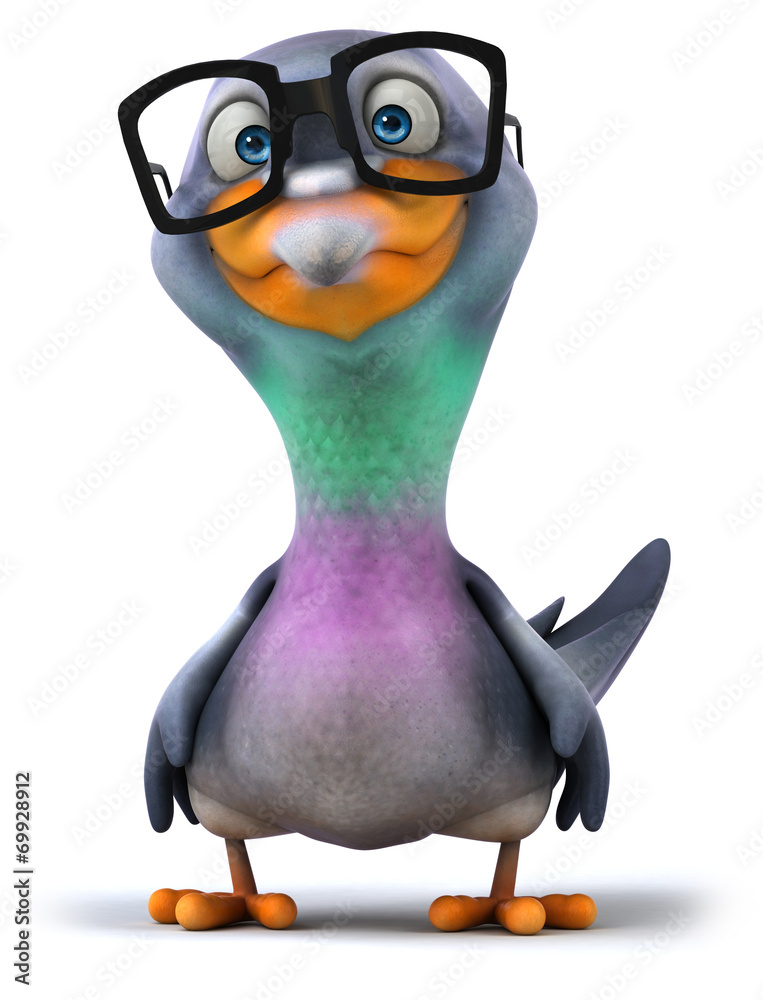 Obraz premium Fun pigeon
