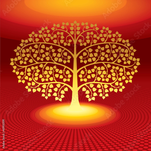 buddha tree