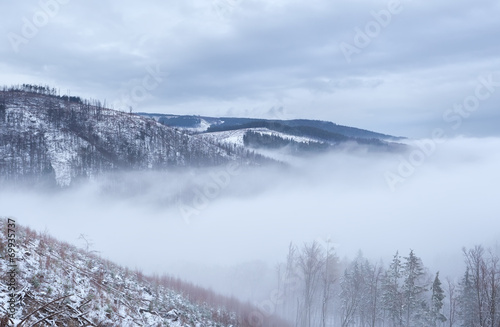 winter fog in Harz mountains