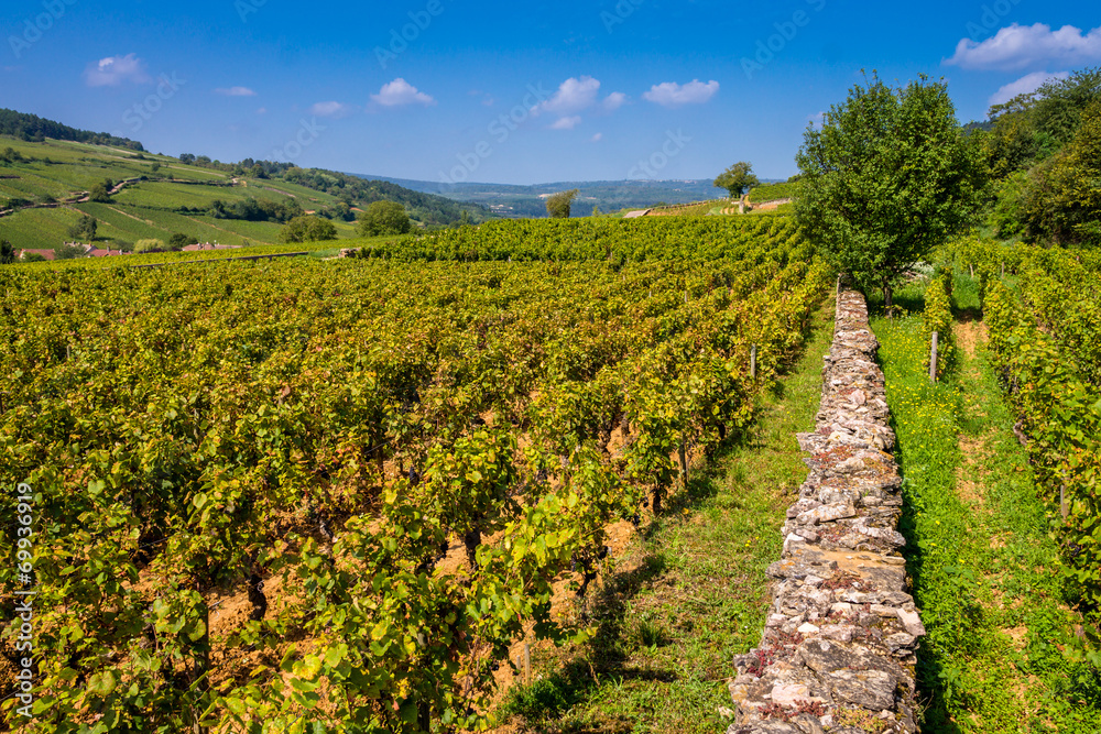 belle Bourgogne