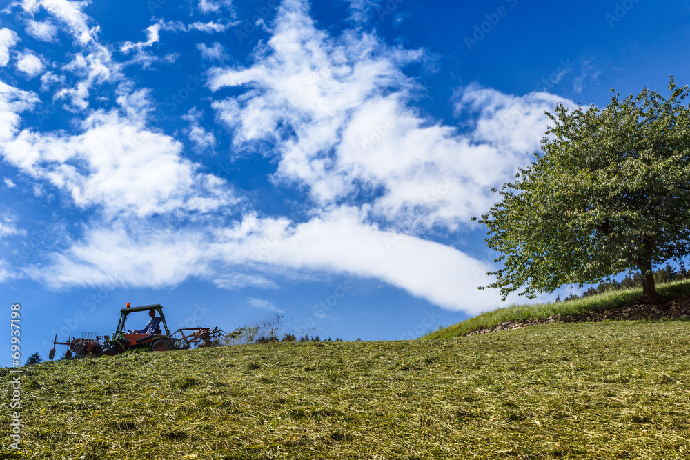 Fototapeta premium Man riding a lawn tractor