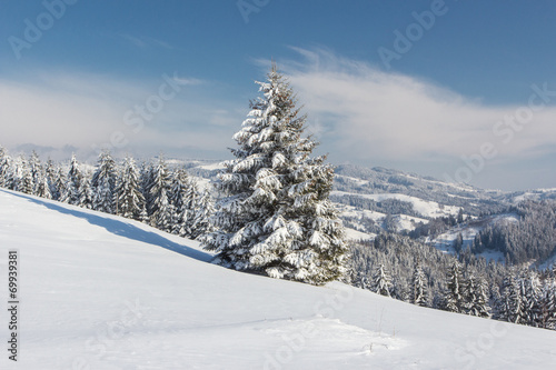 Winter in mountains Carpathians, Ukraine © siv2203