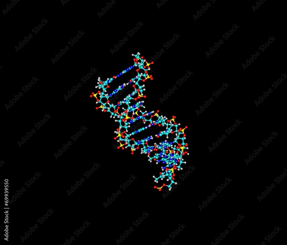 DNA helix molecule isolated on black