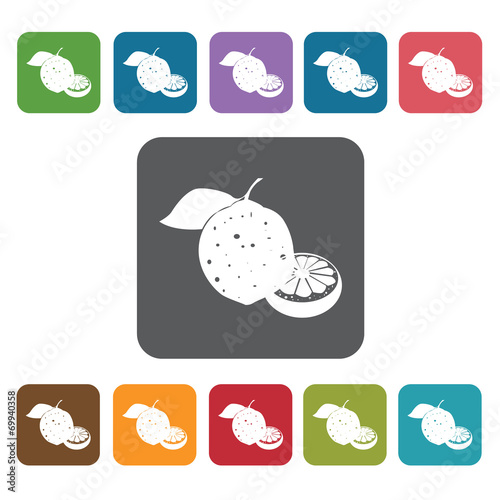 Kalamansi sign icon symbol set. Tropical fruits set. Rectangle c photo