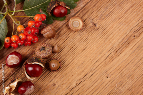 chestnuts autumn frame background