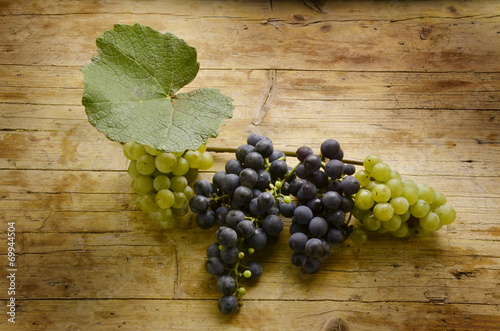 Ekologiskt vin Vino biologico Organic wine Wino ekologiczne