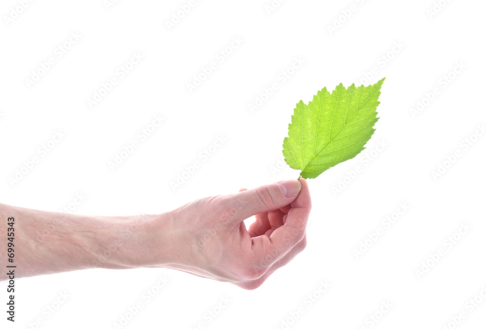 Gesundheit als Geschenk der Natur Gesundheit als Geschenk der Natur