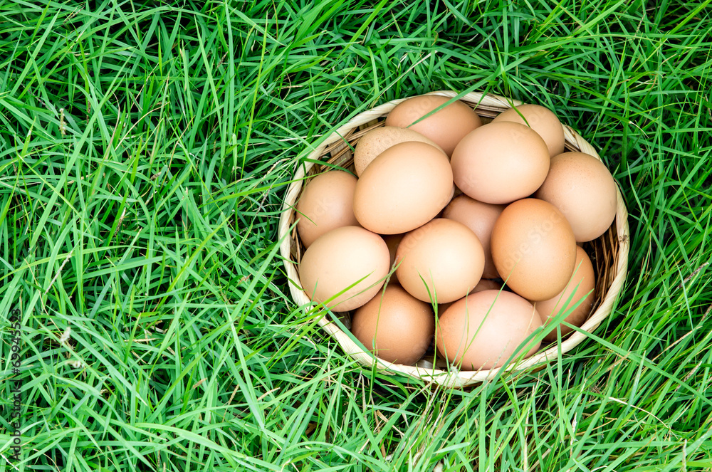 Top view of egg in basket on fresh green grass Top view of egg in basket on fresh green grass