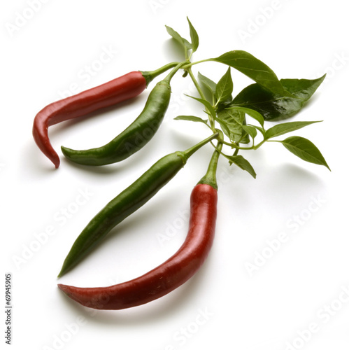 Capsicum Paprika Papryka Chili Стручковый перец Expo Milano 2015