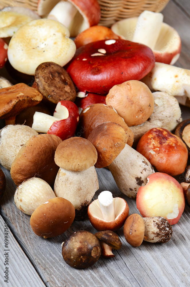 The raw boletus edulis a background The raw boletus edulis a background