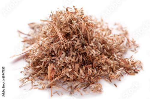 Palmarosa grass seeds (Cymbopogon martinii) photo