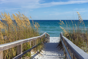 Leinwandbilder Dünen Holzsteg durch Dünen zum Meer  © forestpath
