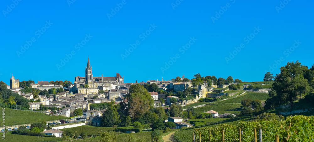 Obraz premium Saint-Emilion-Vineyard landscape-Vineyard south west of France