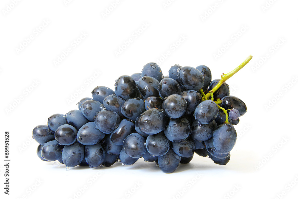  branch of grapes