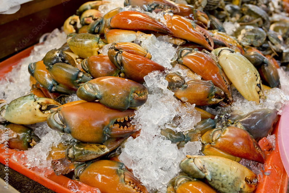 stone crab claws on a ice in Thailand market stone crab claws on a ice in Thailand market
