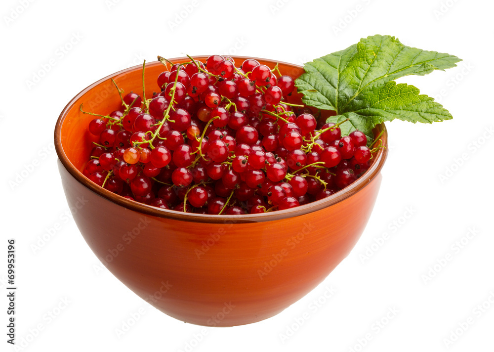Red currant Red currant
