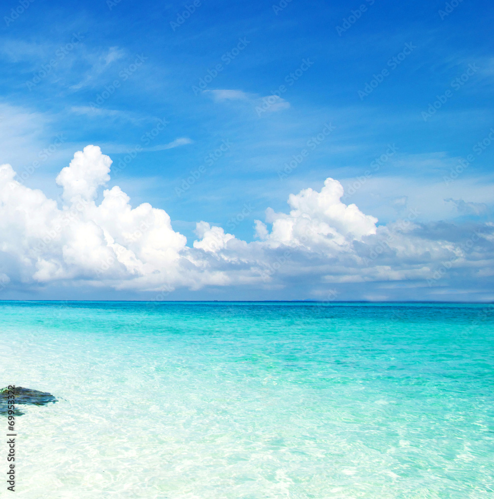 beach and tropical sea