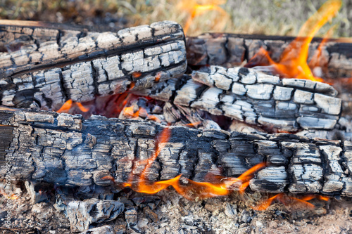 Closeup of hot burning firewood in campfire