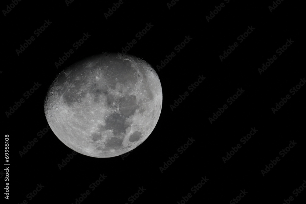 Obraz premium The Moon